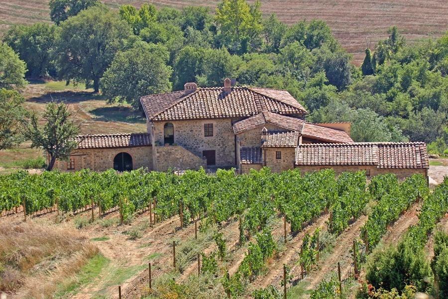 Villa Renieri Montalcino Kültér fotó