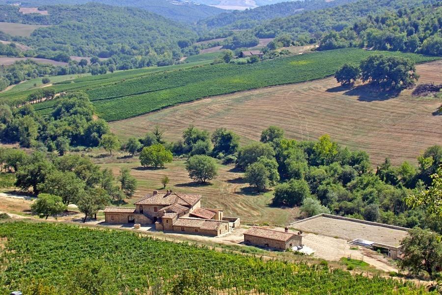 Villa Renieri Montalcino Kültér fotó